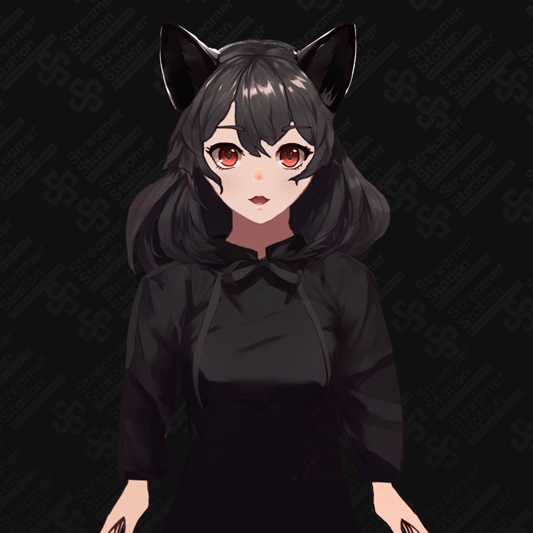 2d half body model vtuber